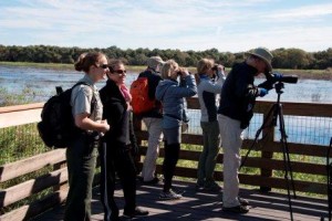 04 Myakka River State Park_Photo Credit David Shafer_web