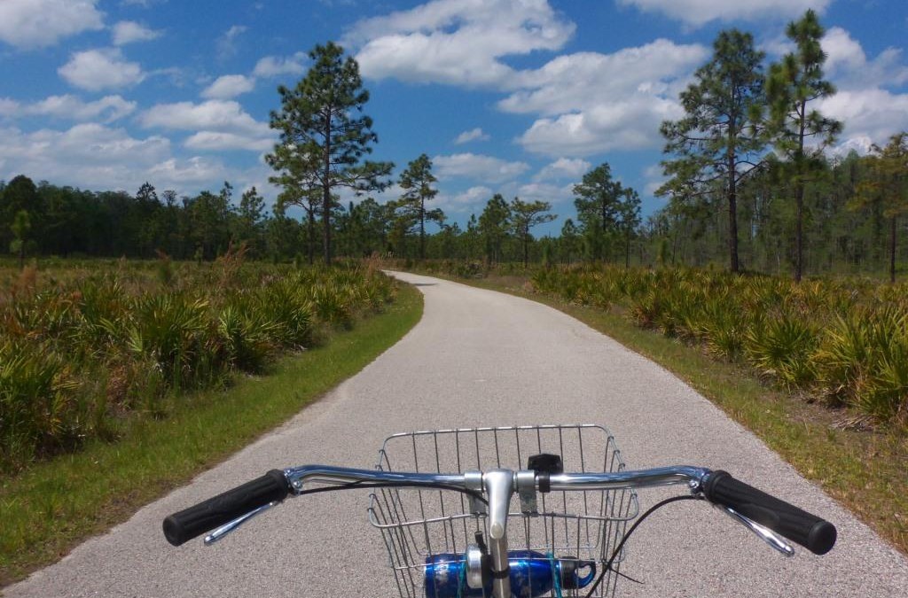 Urban Wildlife By Bike