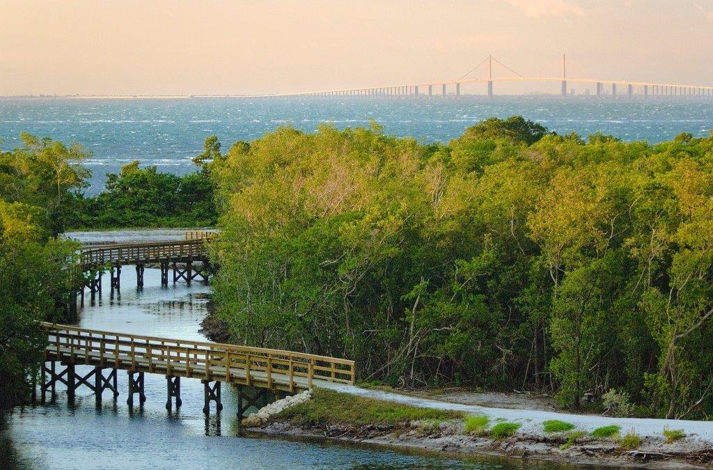 Manatee River of Time