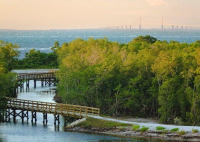 Manatee River of Time