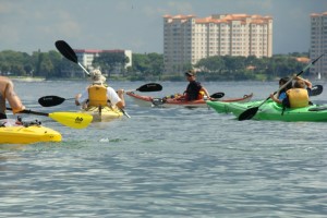 Blind Pass Little Sarasota Bay