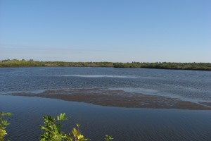 Lower Myakka River at Tarpon Point