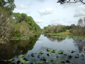 eco tours sarasota fl