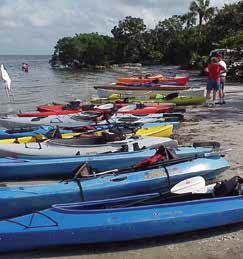 eco tours sarasota fl