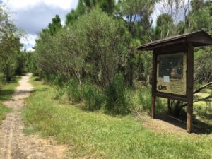 eco tours sarasota fl