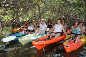 eco tours sarasota fl